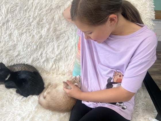Emma gently petting two bunnies