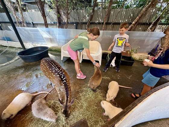 Kids feeding capybaras and a deer at an animal encounter